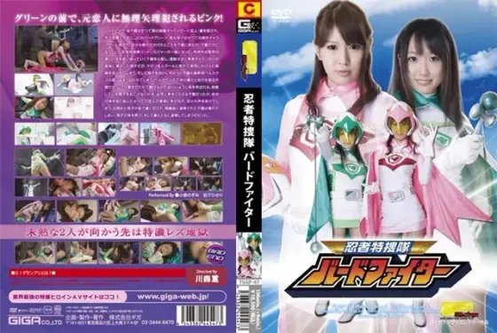 Special Ninja Squad Bird Fighter